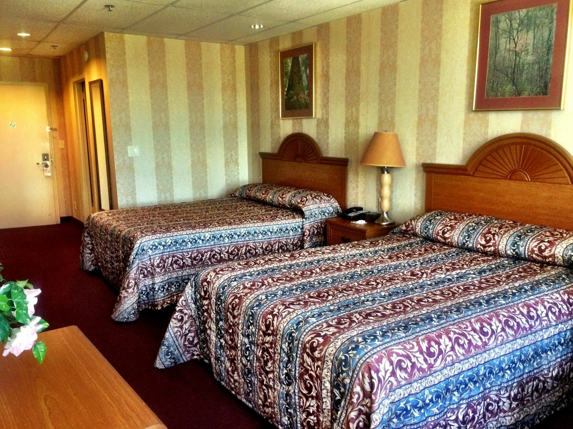 Amsterdam Hotel Stamford Ngoại thất bức ảnh
